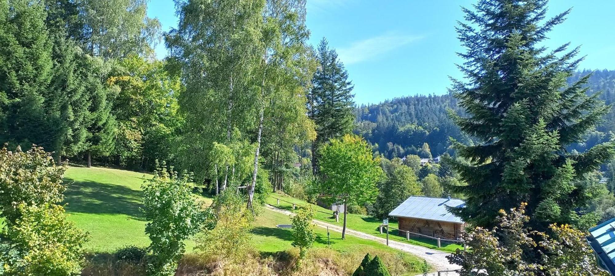 Pizzeria A Penzion Banderas Bayerisch Eisenstein Kültér fotó